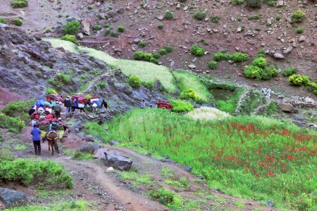 Atlas Trekking & Hiking from Ouirgane to Imlil – 4 Days