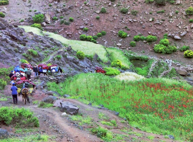 Atlas Trekking & Hiking from Ouirgane to Imlil – 4 Days