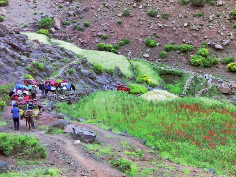 Atlas Trekking & Hiking from Ouirgane to Imlil – 4 Days