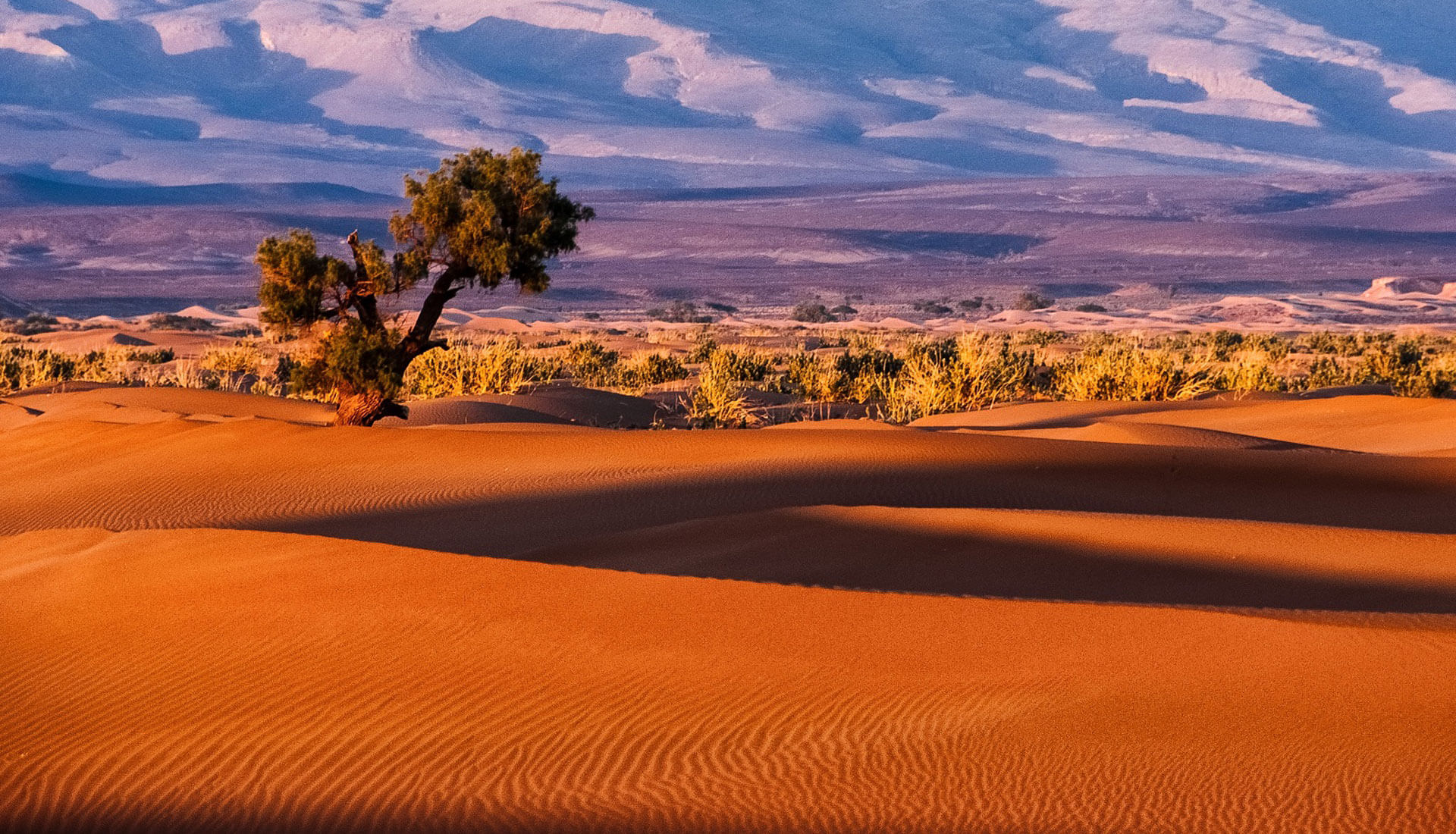 Ouirgane Atlas Guide